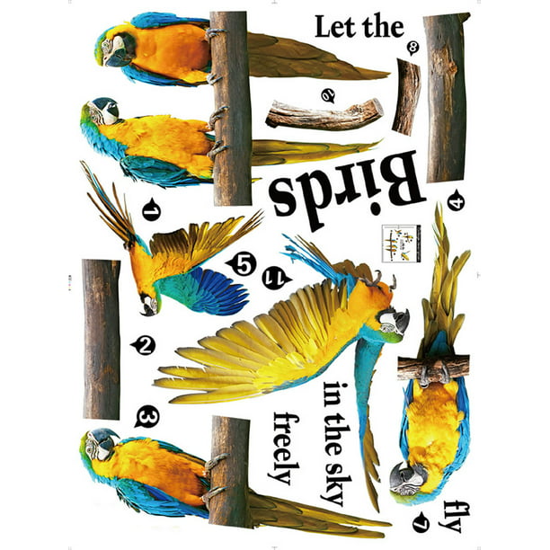 1PC 3D Macaw Stickers Waterproof Home Decorative Creative Removable Wall Sticker